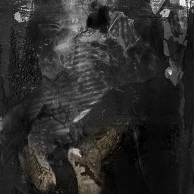 100 x 80 2018
