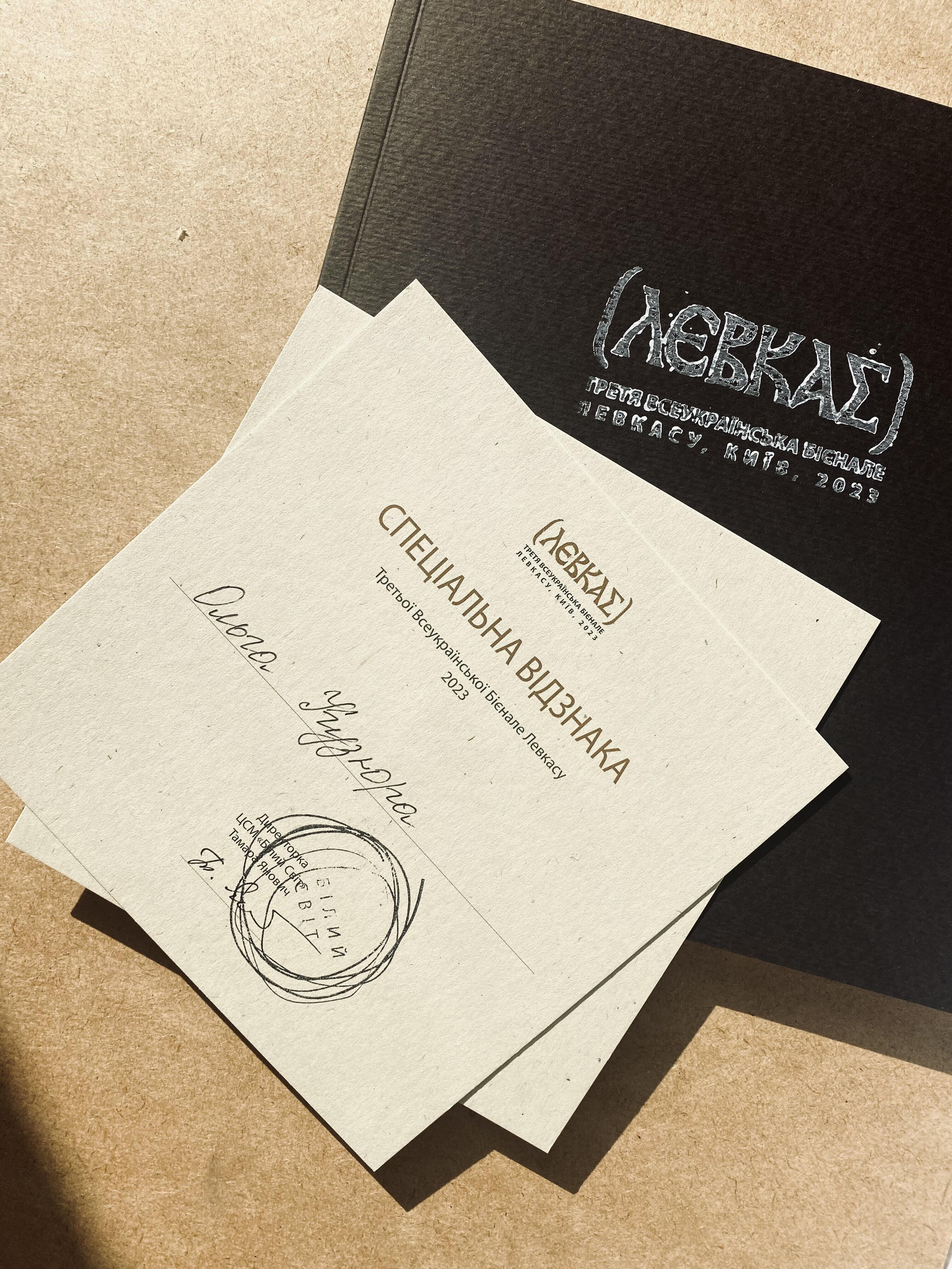 THE WORK "MY BALANCE" RECEIVED A SPECIAL AWARD AT THE LEVKAS BIENNIAL