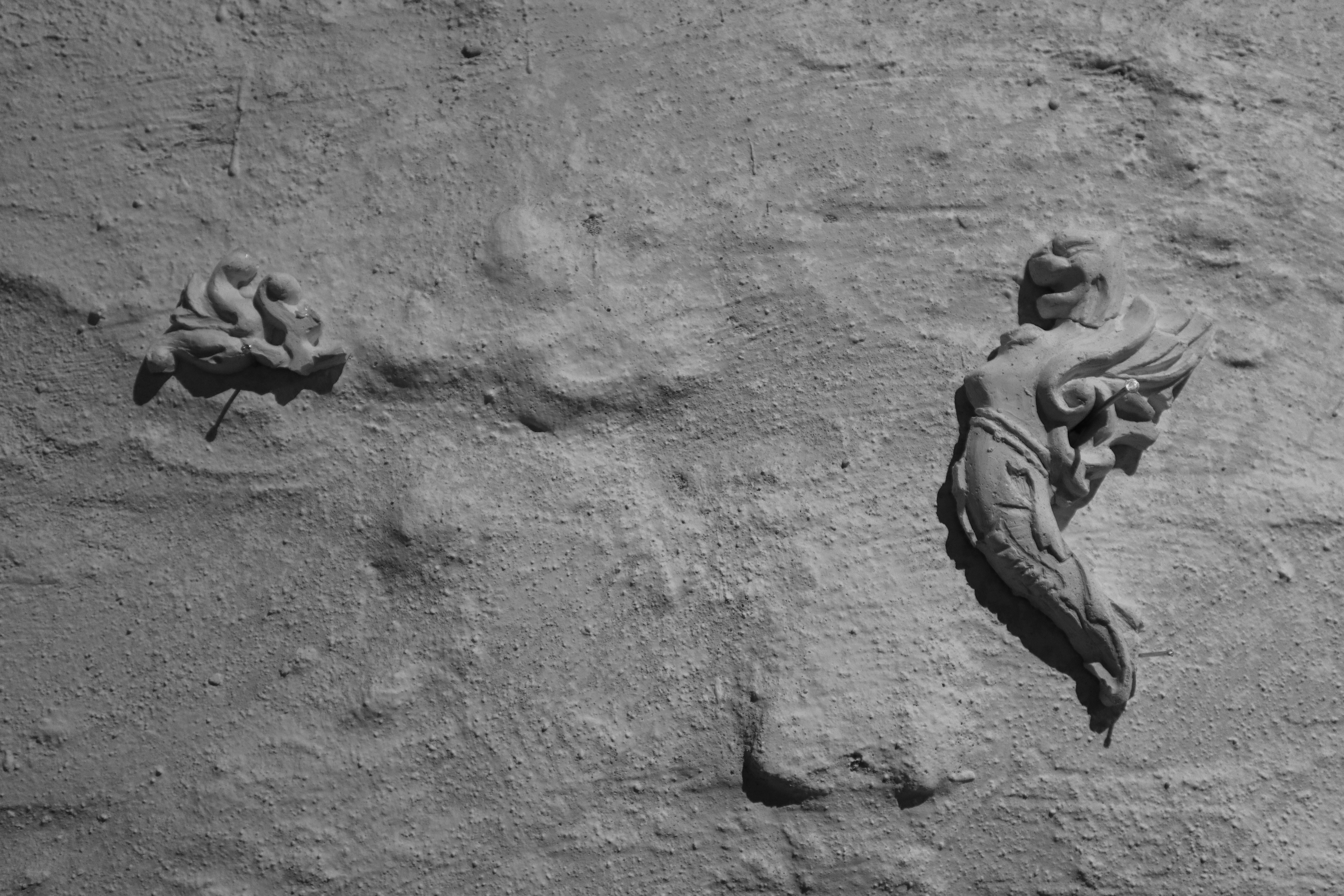 "LOST PRESENCE" IN THE KORSAKS' MUSEUM