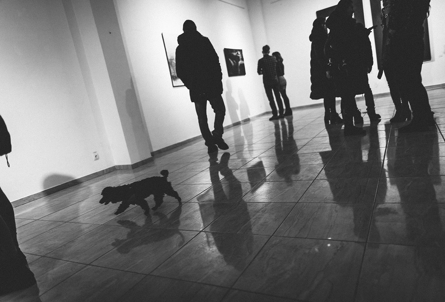Opening of the project "Shadow / Body"